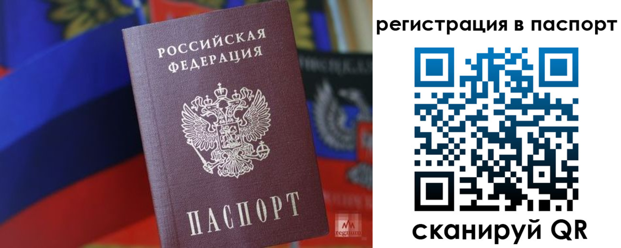 временная прописка в Химках