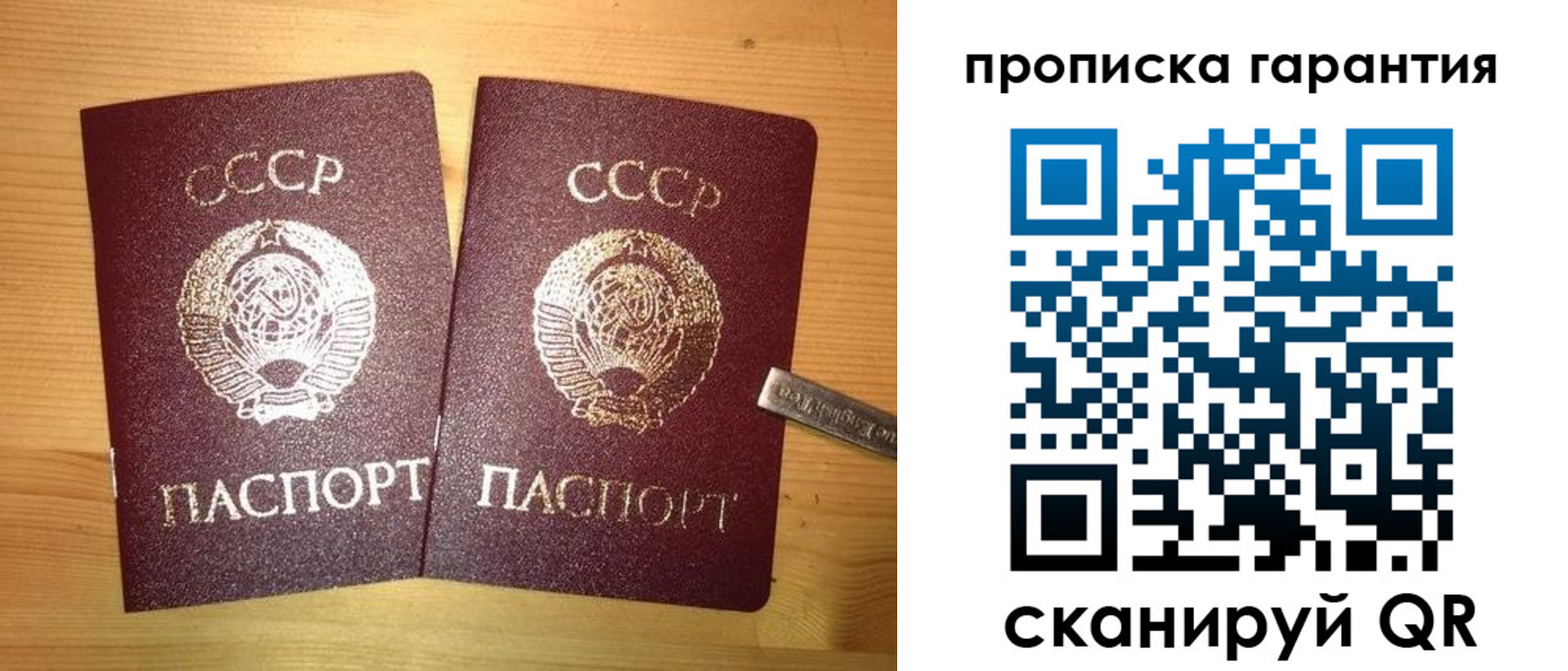 прописка поиск в Химках